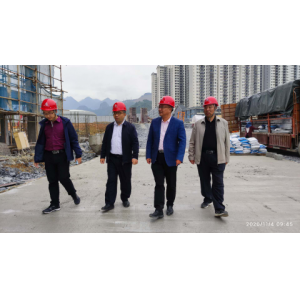 东兰县委常委、副县长郭志丰考察指导新莱云