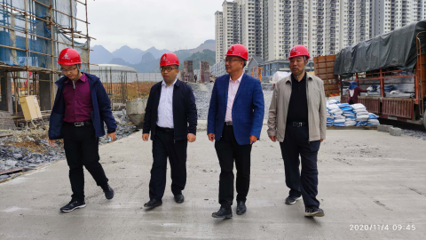 东兰县委常委、副县长郭志丰考察指导新莱云峰豪庭(图1)