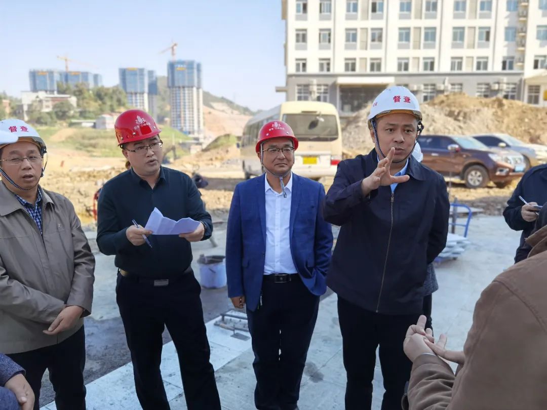 东兰县县长徐迪克及县政府有关领导莅临新莱云峰豪庭检查指导工作(图3)