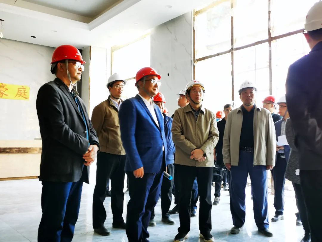 东兰县县长徐迪克及县政府有关领导莅临新莱云峰豪庭检查指导工作(图4)