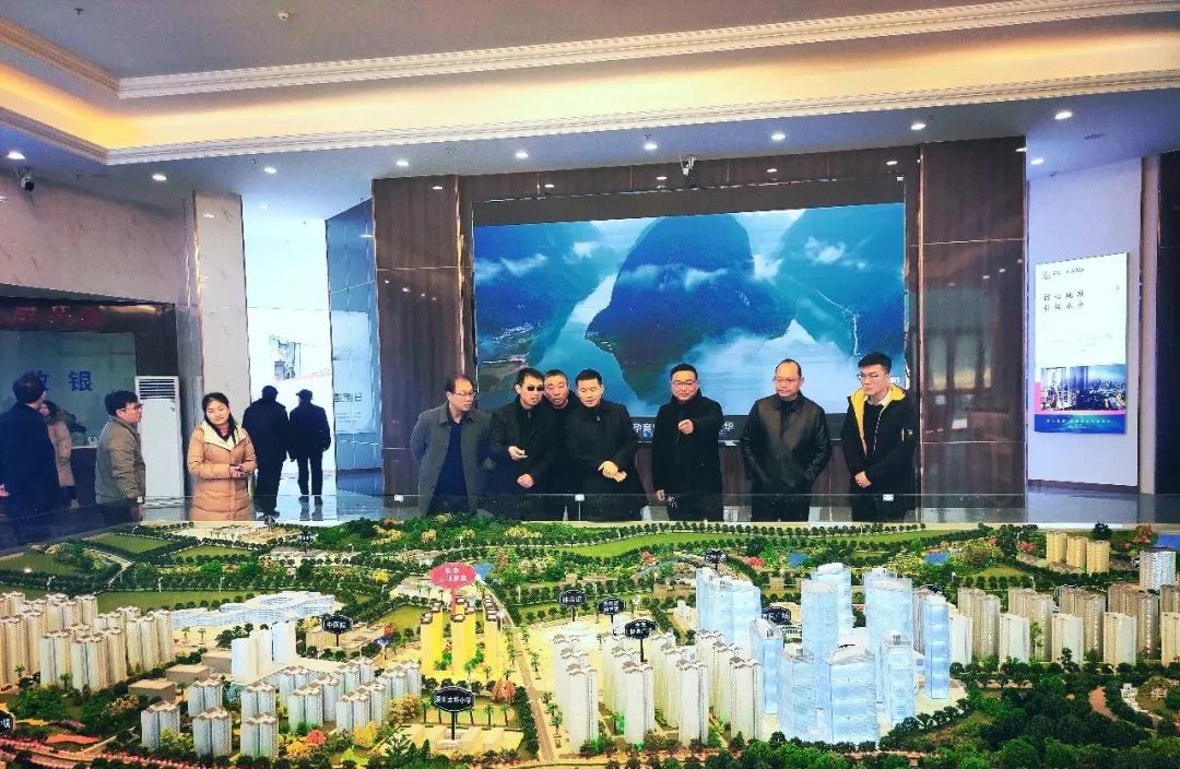 东兰县委书记黄贤昌考察指导新莱云峰豪庭(图3)
